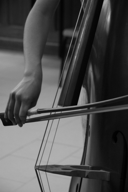 L'Académie de Contrebasse des Concerts Vinteuil 2007